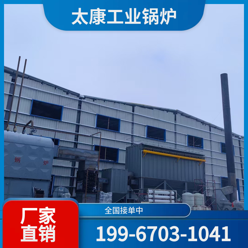 楚雄导热油锅炉